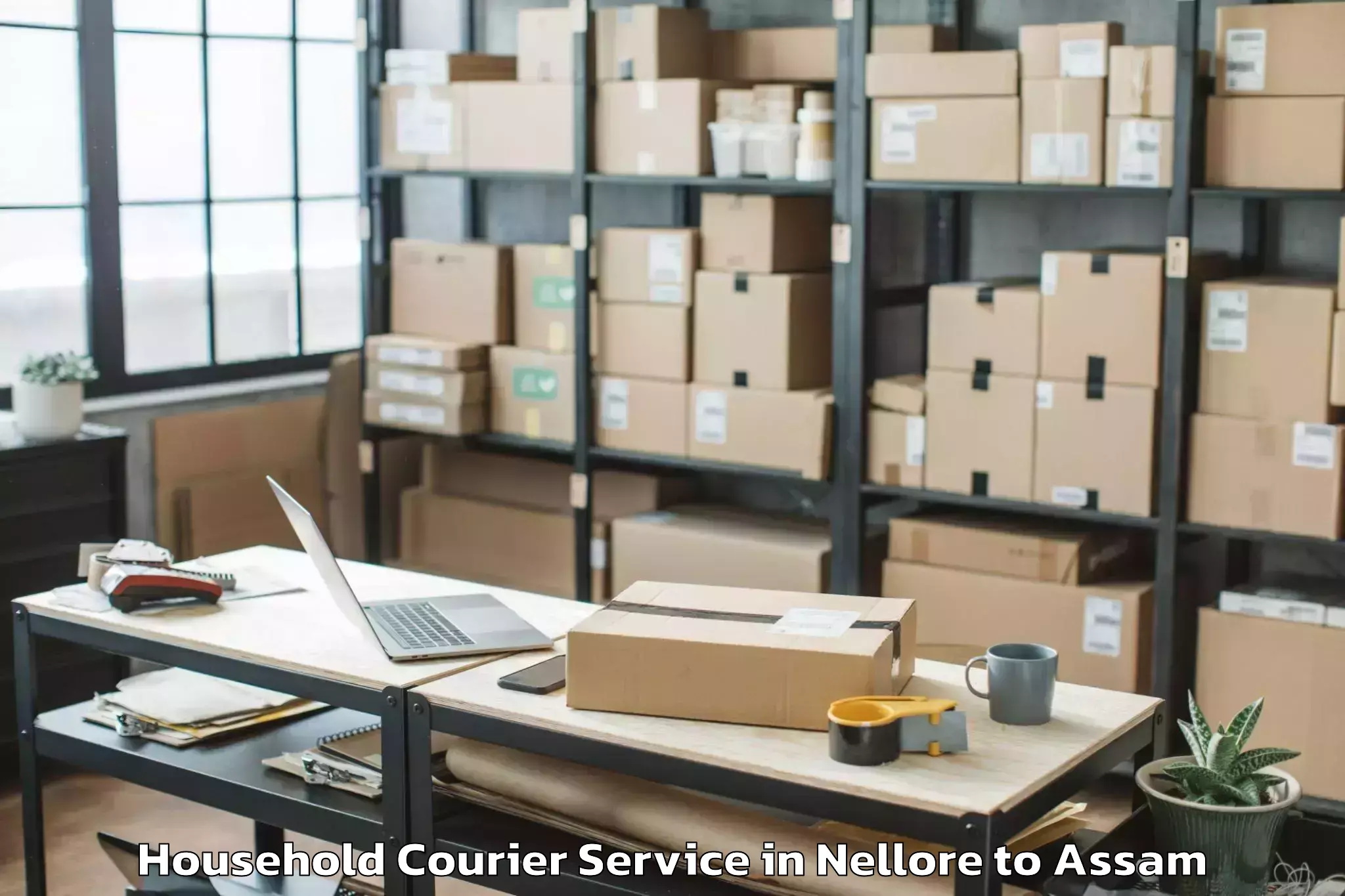 Nellore to Bilasipara Pt Household Courier Booking